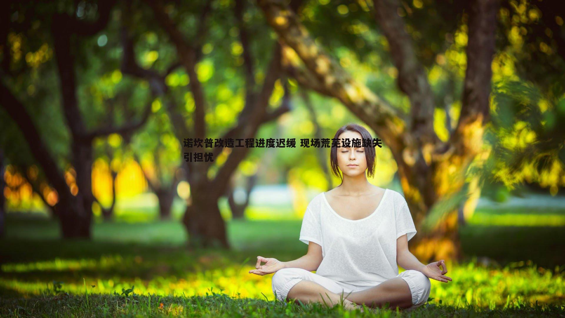 诺坎普改造工程进度迟缓 现场荒芜设施缺失引担忧