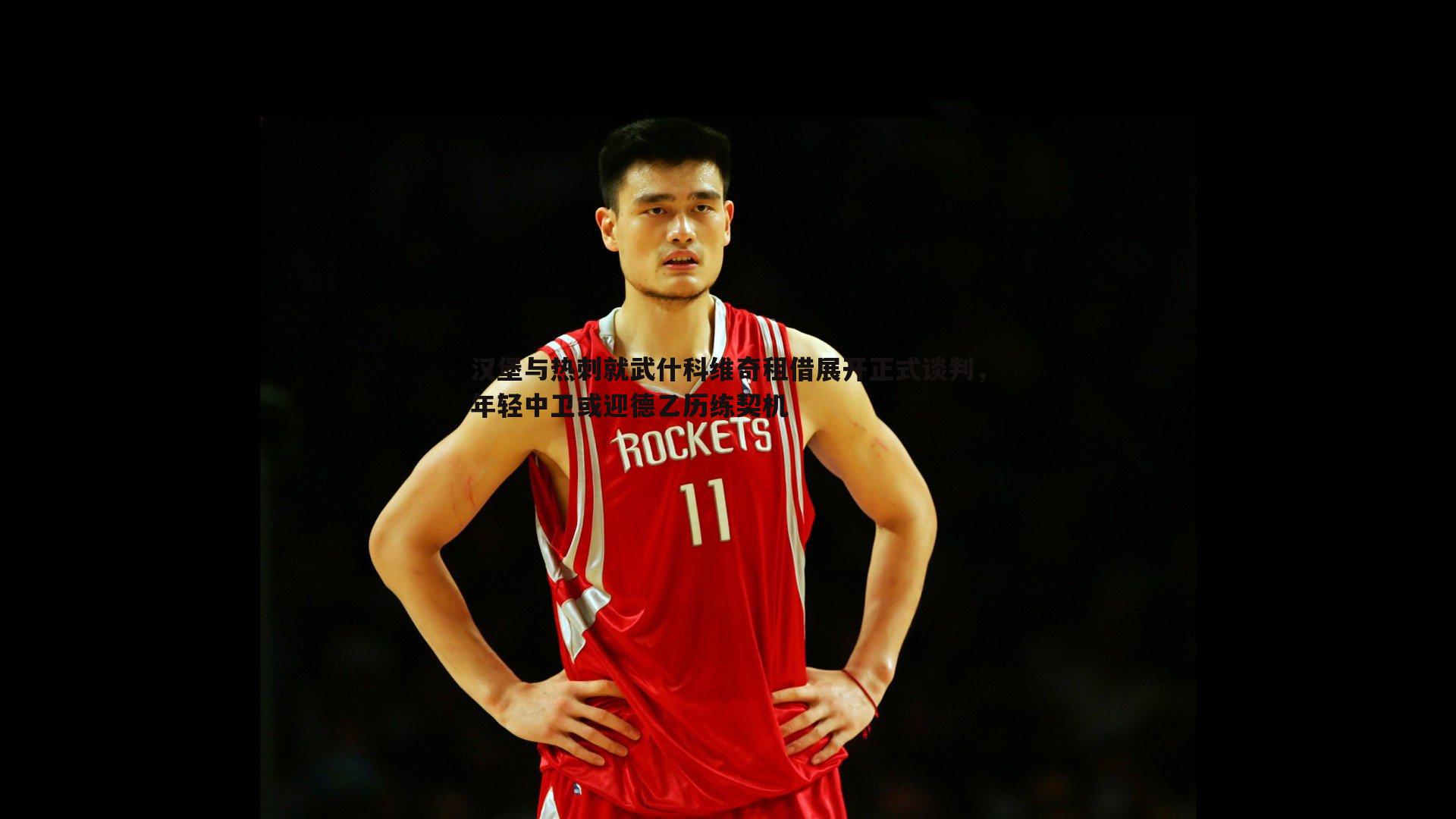 汉堡与热刺就武什科维奇租借展开正式谈判,年轻中卫或迎德乙历练契机